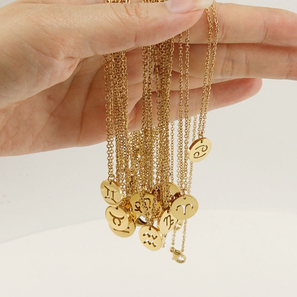 Eco Friendly Zodiac Pendant Stainless Steel Necklace