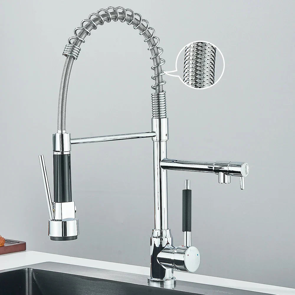 Contemporary Dual Spout Kitchen Faucet
