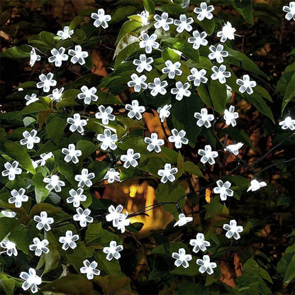 Outdoor Solar Fairy Lights Warm White 8 Modes