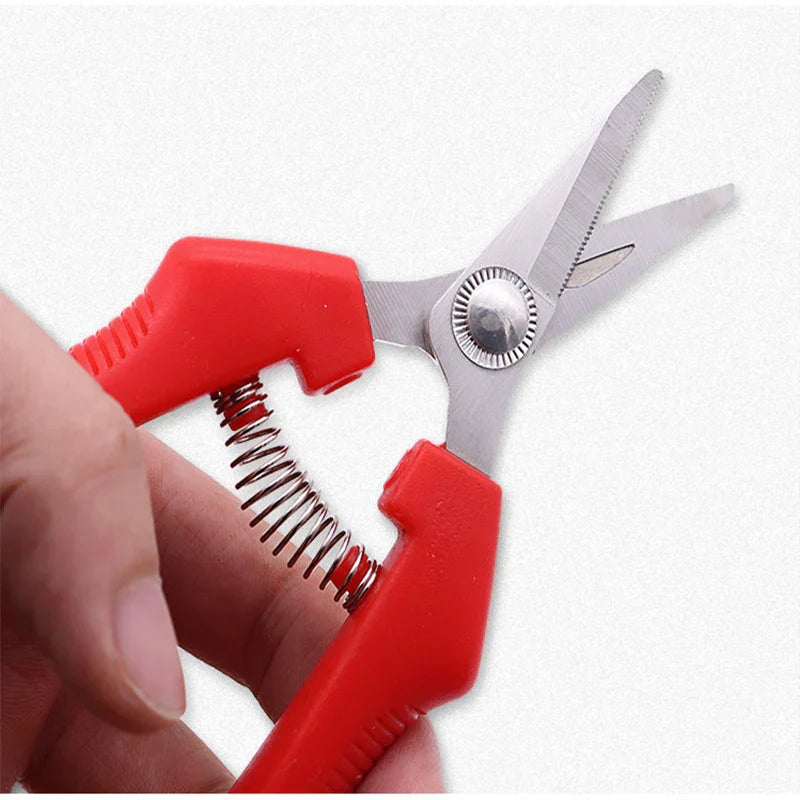 Sharp Garden Pruning Shears for Fruit Trees & Bonsai
