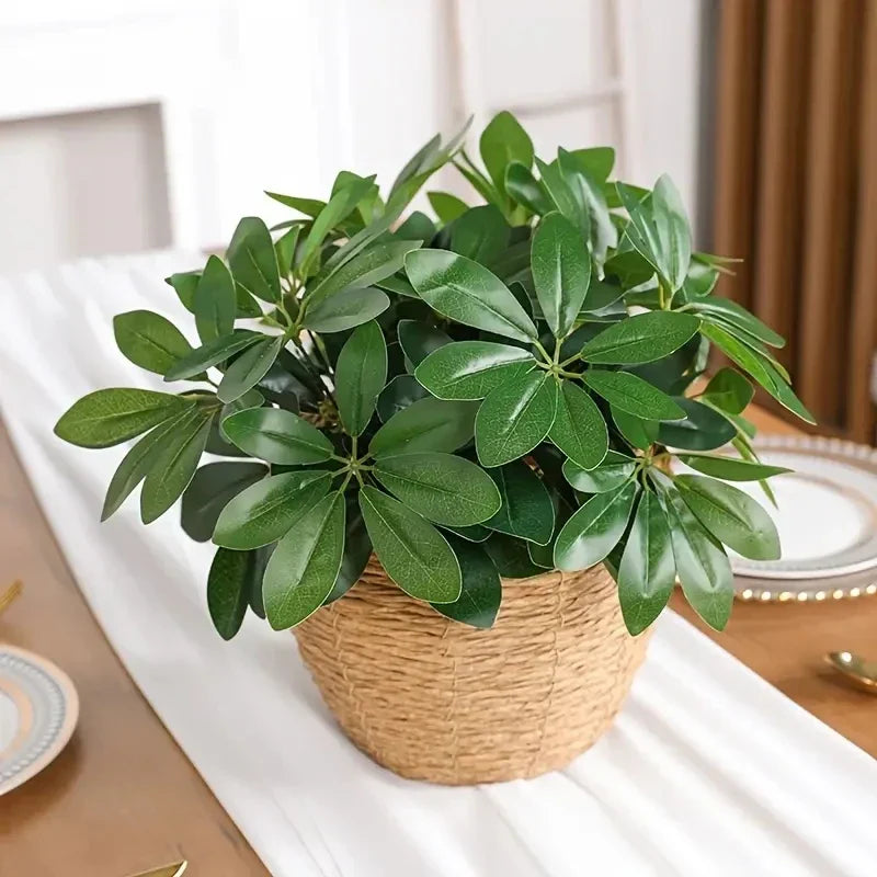 Realistic Indoor Plant with Stem and Green Leaves