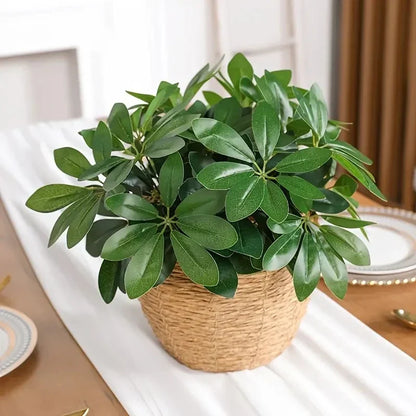 Realistic Indoor Plant with Stem and Green Leaves