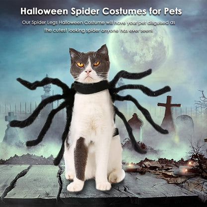 Cute Black Spider Pet Suit