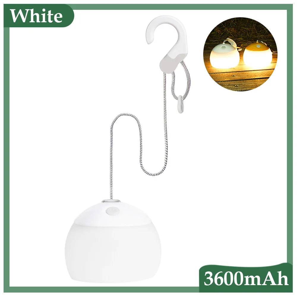 Portable LED Camp Light with USB Charger