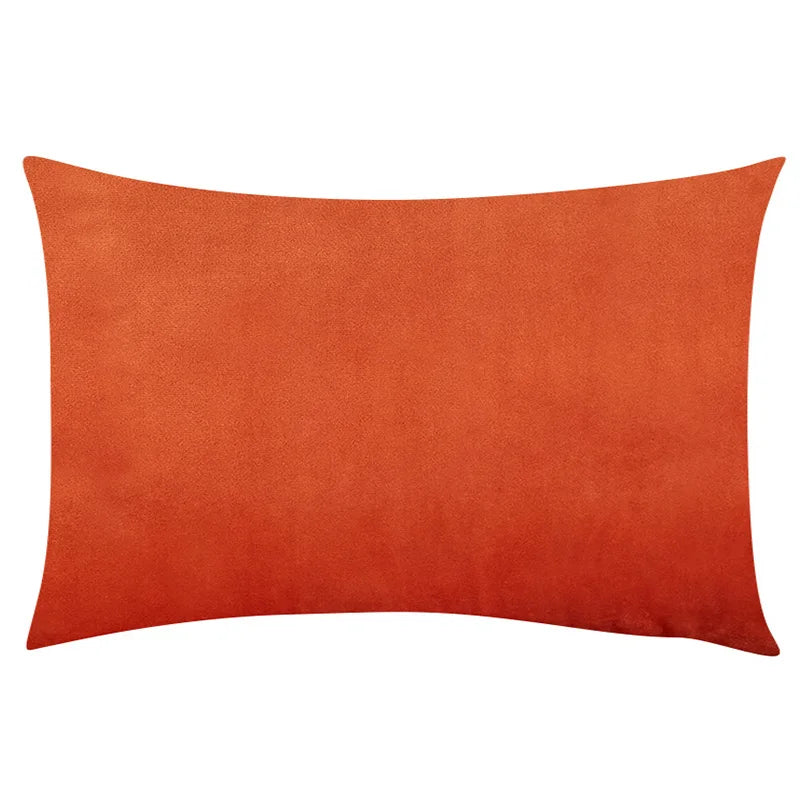 Soft Velvet Pillow in Bright Pastel Colors for Home