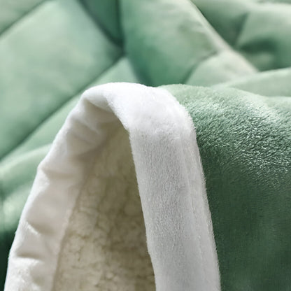 Plush Fleece Blanket Ultra Soft and Warm Premium Quality