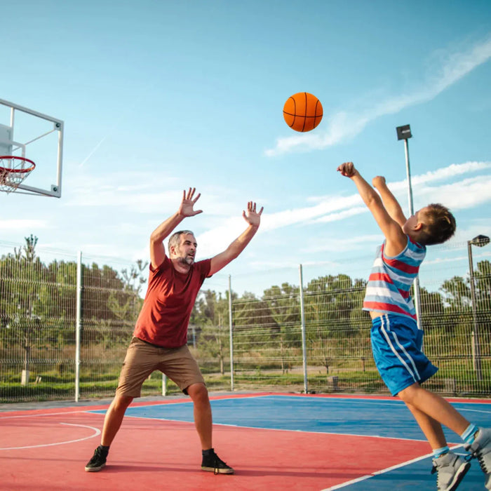 Quiet Indoor Outdoor Basketball Hoop