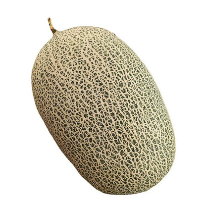 Soft Plush Fruit Pillow for Home Decor