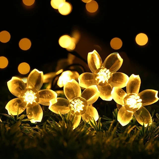 Warm Pink String Fairy Lights