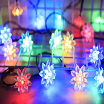 Warm Pink String Fairy Lights