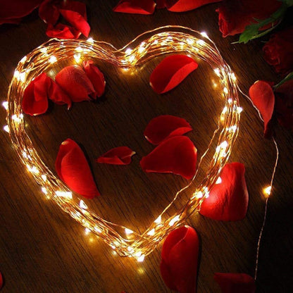 Outdoor Hanging Solar String Lights (Clear Wire)