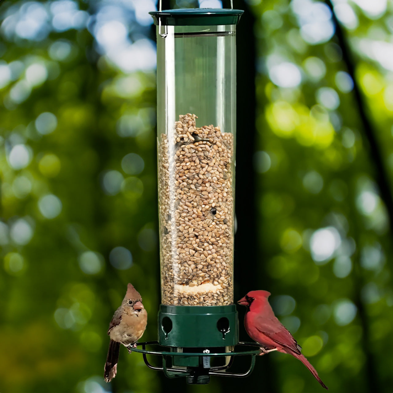 Squirrel Proof Bird Feeder with 4 Port Spin Tray - Befez