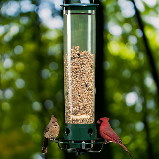 Squirrel Proof Bird Feeder with 4 Port Spin Tray - Befez