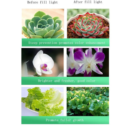 Befez | 35w High Power 150mm LED Grow Light for Plants