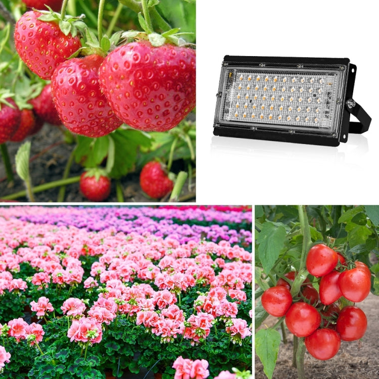 Powerful LED Grow Light Full Spectrum Waterproof 200W