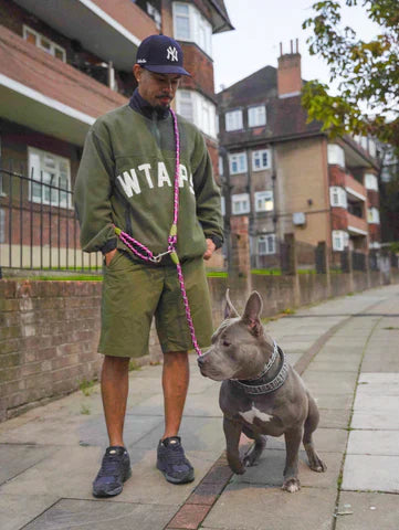Easy Walk Hands-Free Dog Leash