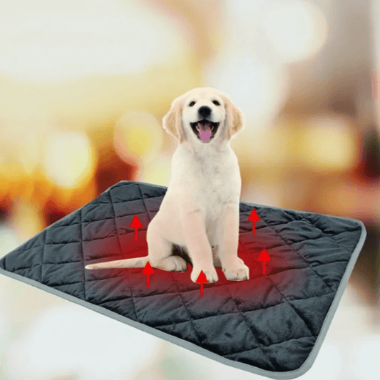 Warm Therapeutic Dog Heating Mat - Befez