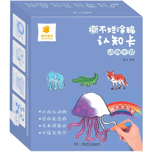 Colorful Educational Flash Cards