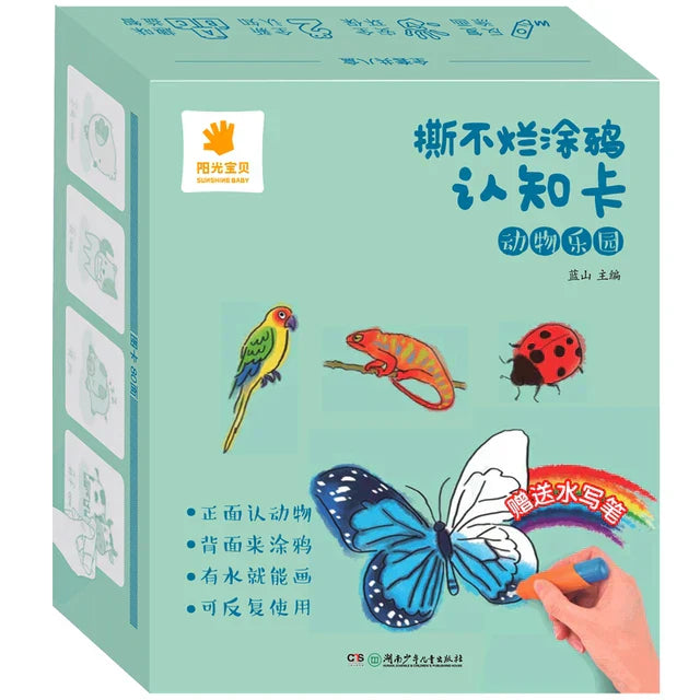 Colorful Educational Flash Cards