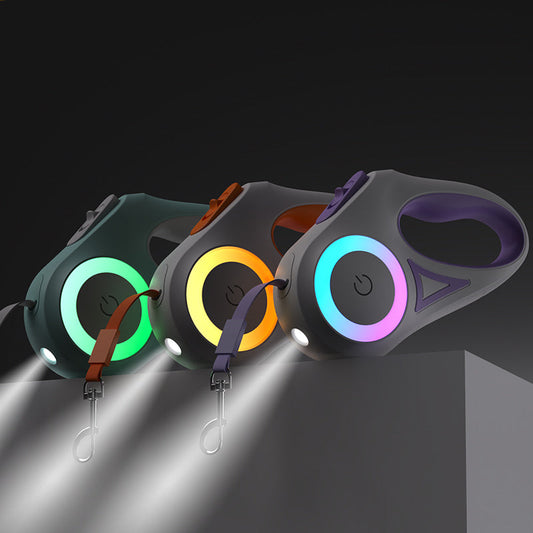 Adjustable Pet Walking Leash - Befez