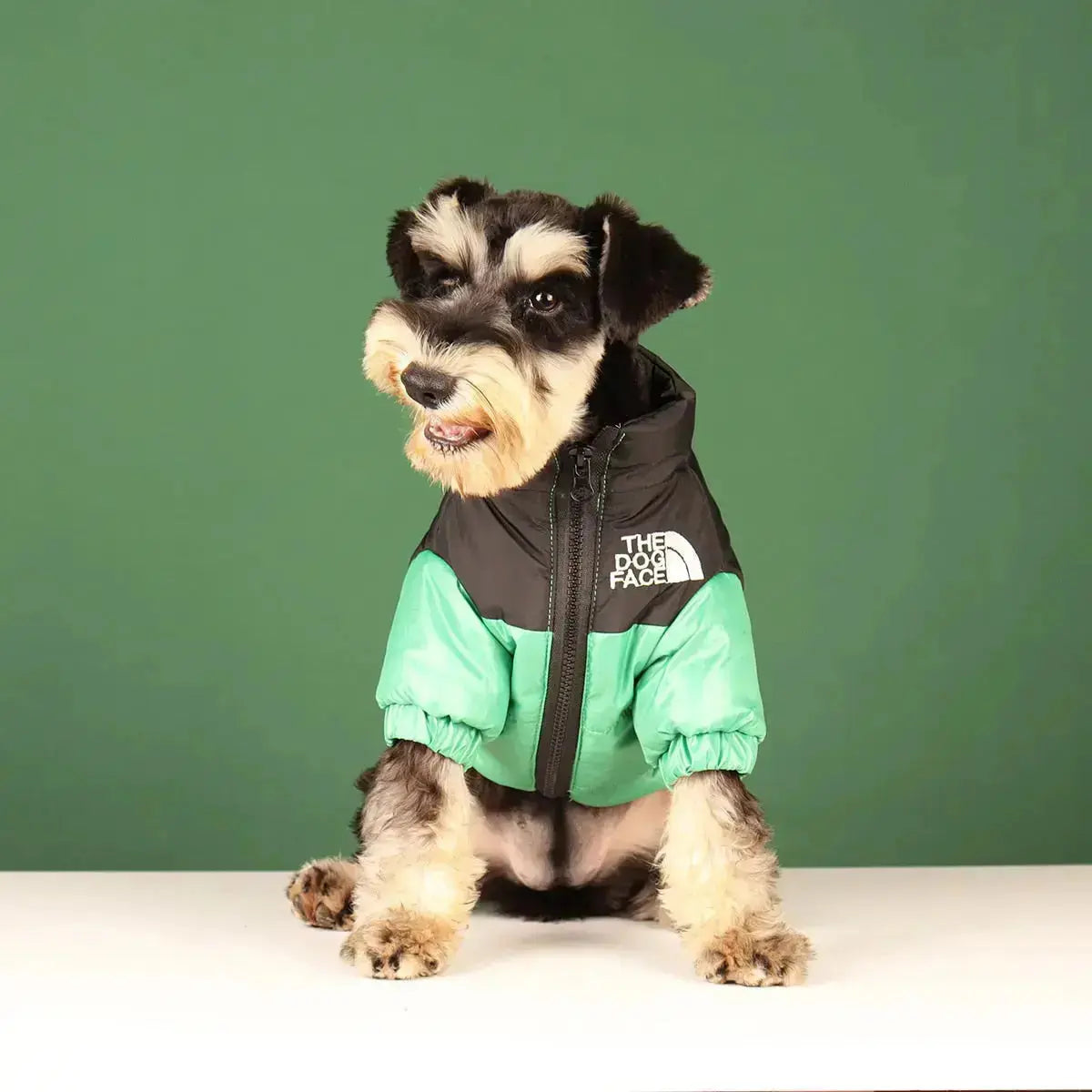 Funny Pet Face Denim Jacket