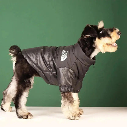 Funny Pet Face Denim Jacket