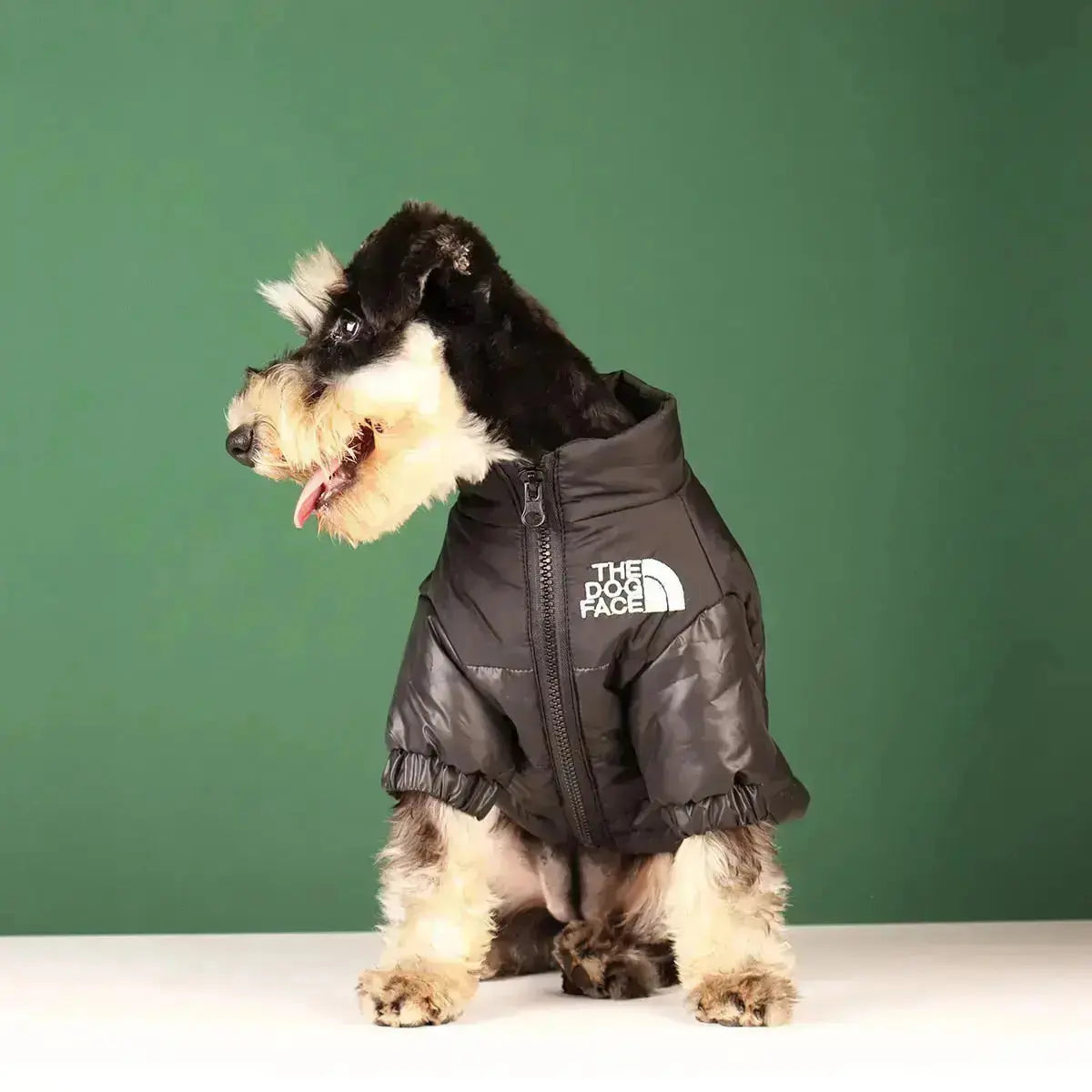 Funny Pet Face Denim Jacket