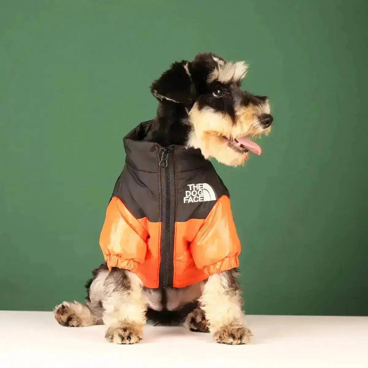 Funny Pet Face Denim Jacket