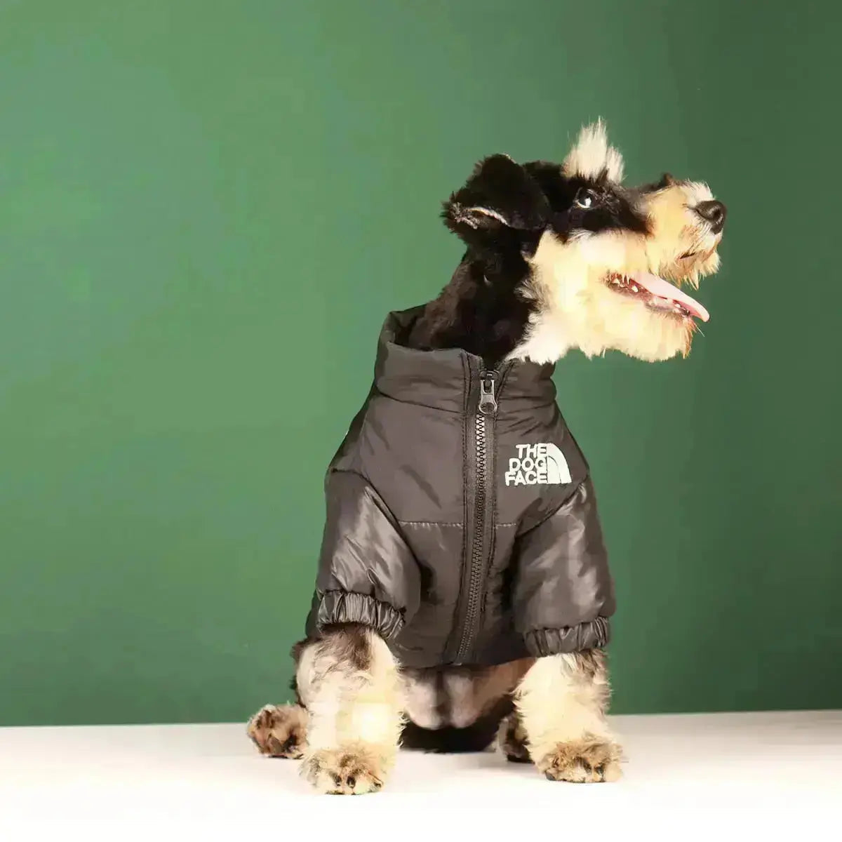 Funny Pet Face Denim Jacket