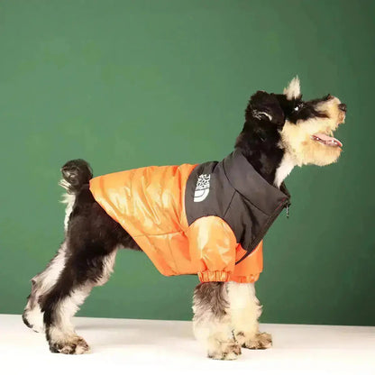 Funny Pet Face Denim Jacket