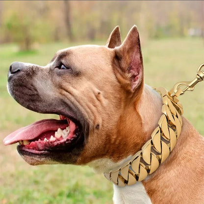 Strong Metal Dog Collar - Durable Stainless Steel Pet Collar