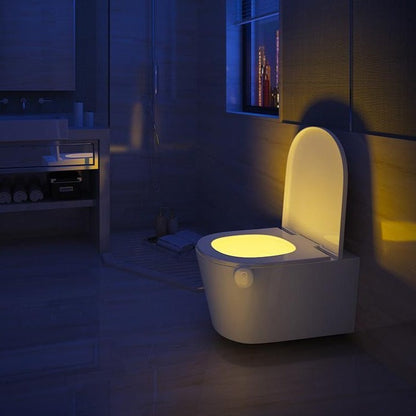 Automatic LED Toilet Bowl Nightlight - Befez