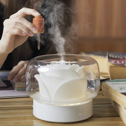 Premium Aromatic Diffuser with Colorful LED Light