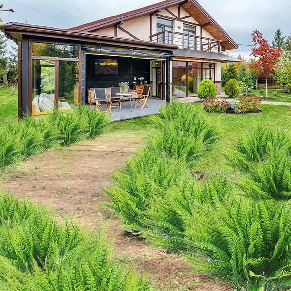 Outdoor Artificial Fern Plant with UV and Weather Resistance