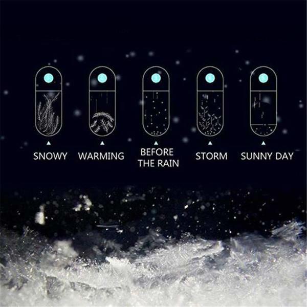 Classic Storm Glass Weather Predictor with Wood Base