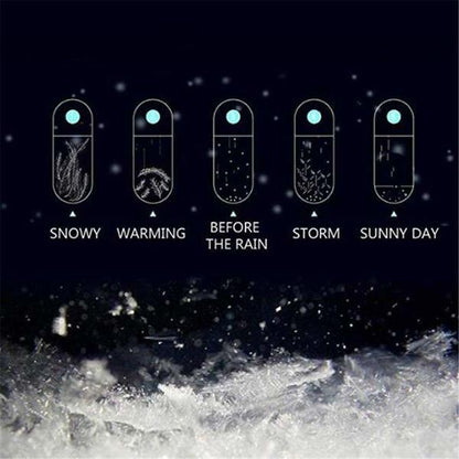 Classic Storm Glass Weather Predictor with Wood Base