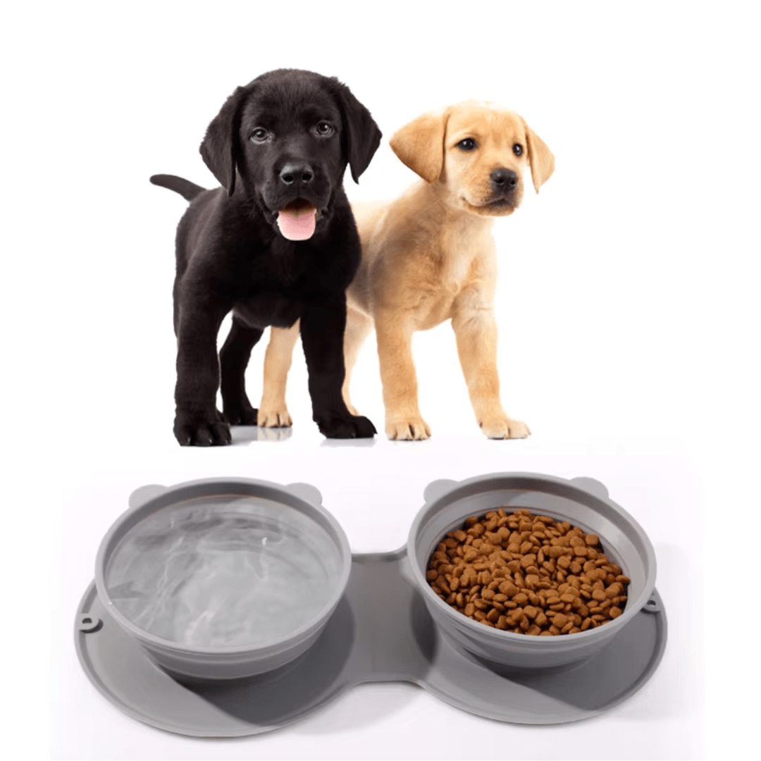 Portable Collapsible Pet Food Bowl