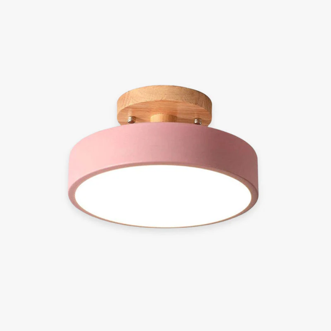 Sleek Contemporary LED Light Fixture