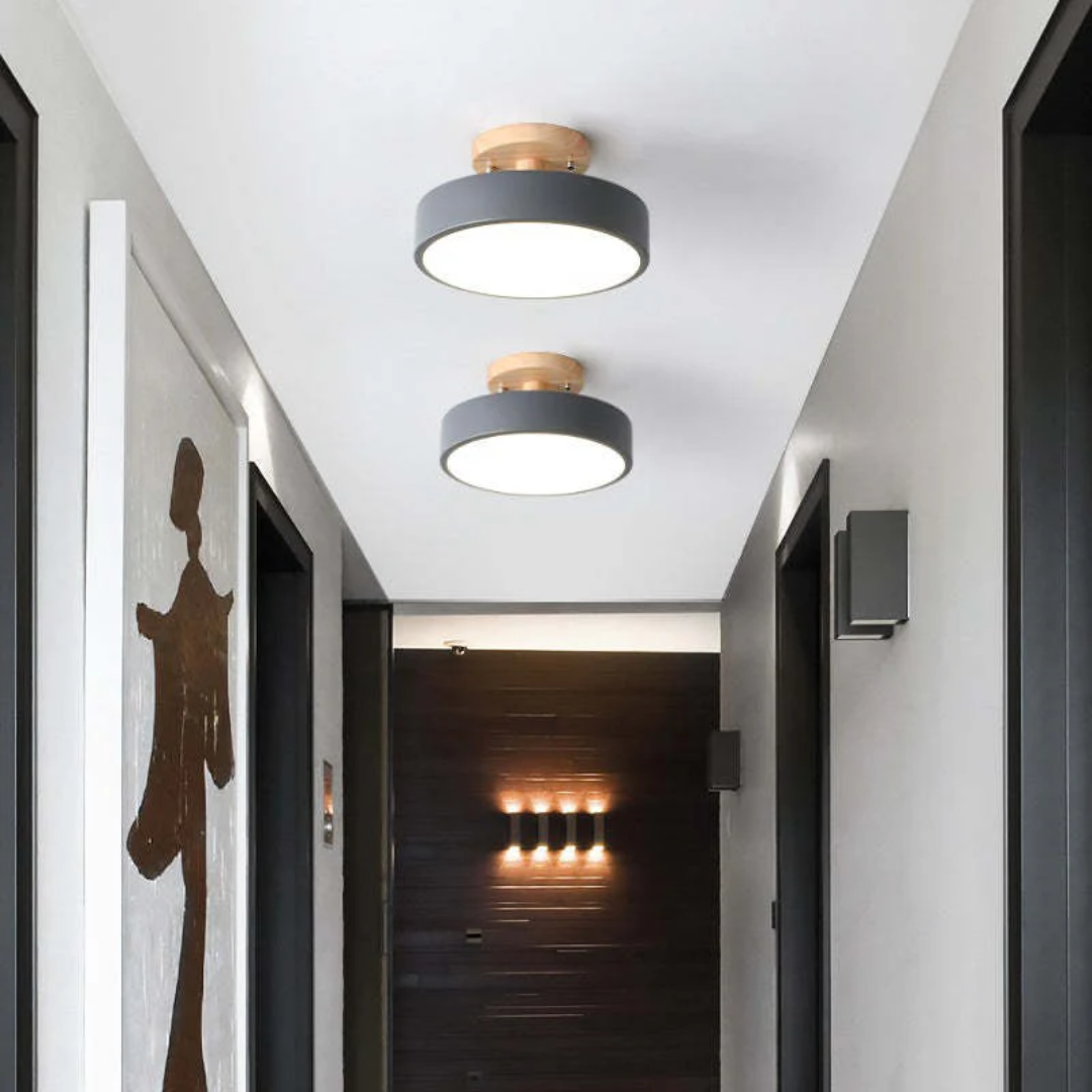 Sleek Contemporary LED Light Fixture