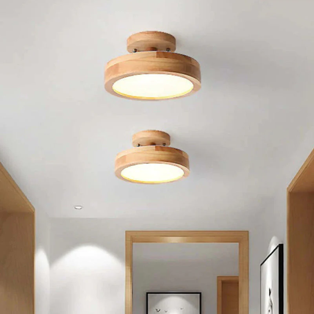 Sleek Contemporary LED Light Fixture