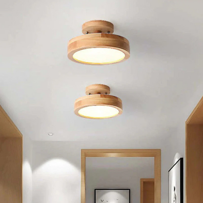 Sleek Contemporary LED Light Fixture