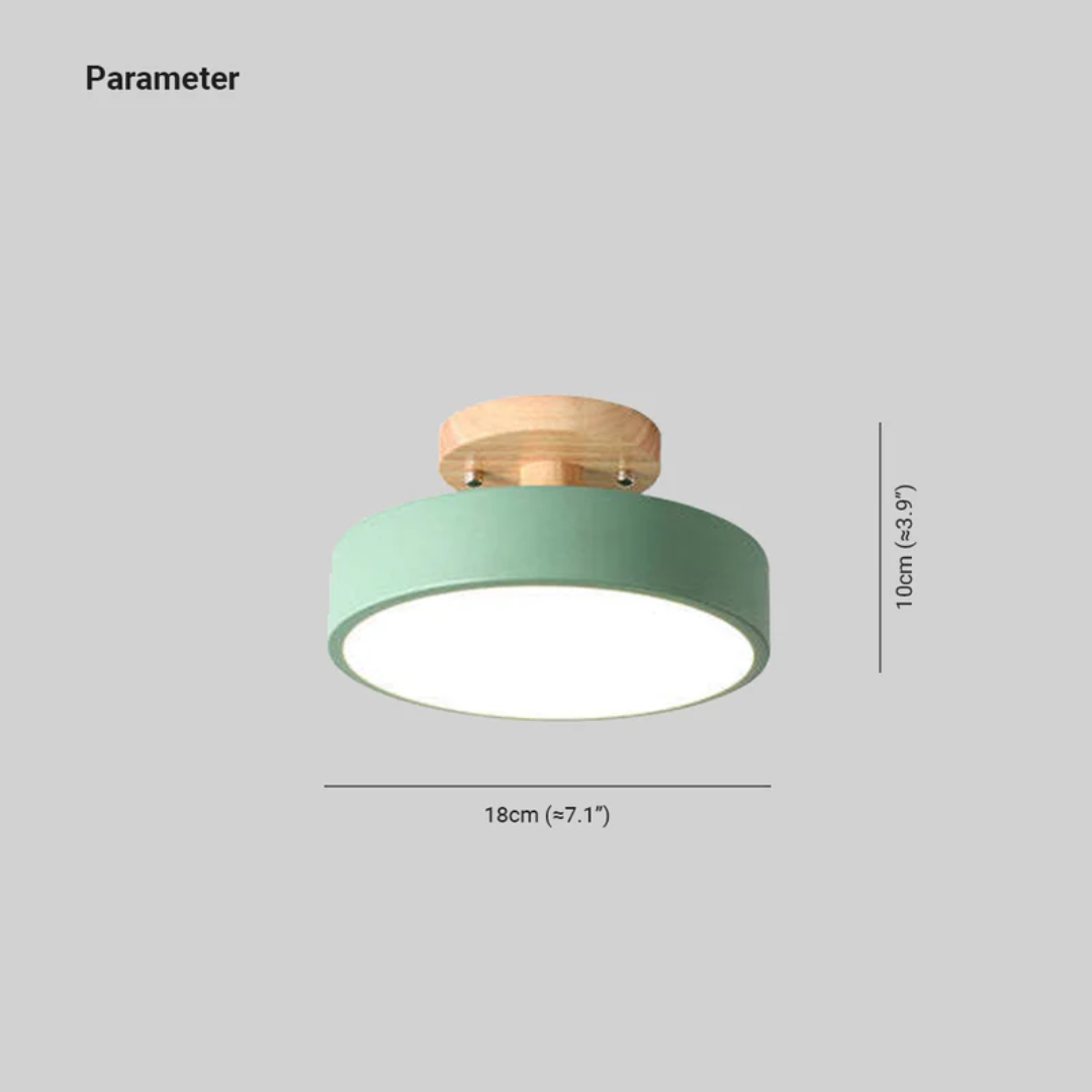 Sleek Contemporary LED Light Fixture