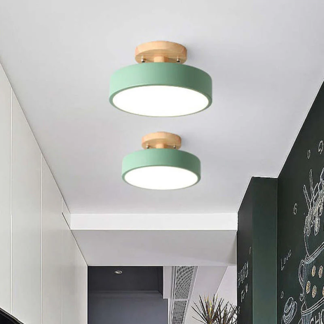 Sleek Contemporary LED Light Fixture