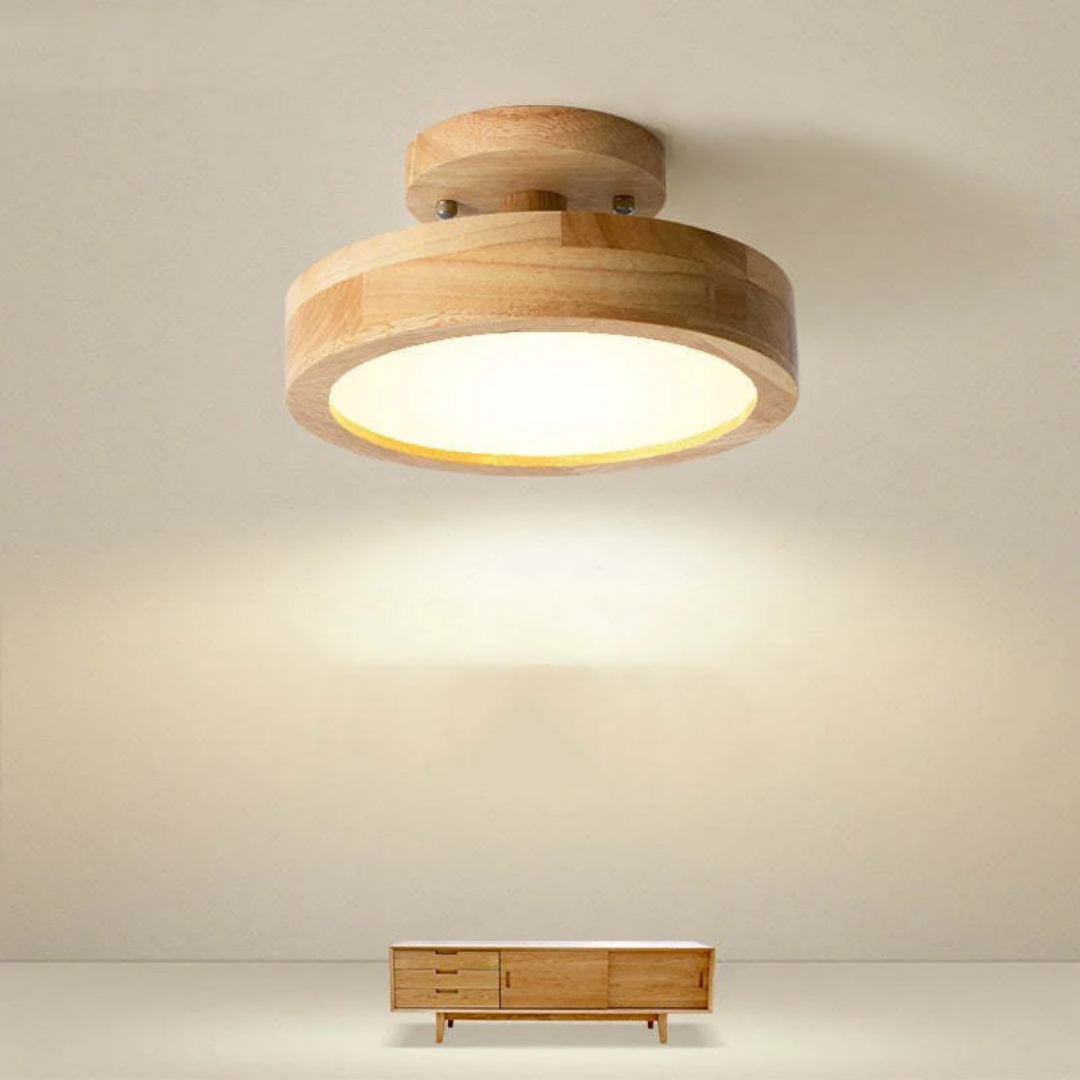 Sleek Contemporary LED Light Fixture