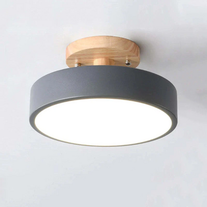 Sleek Contemporary LED Light Fixture
