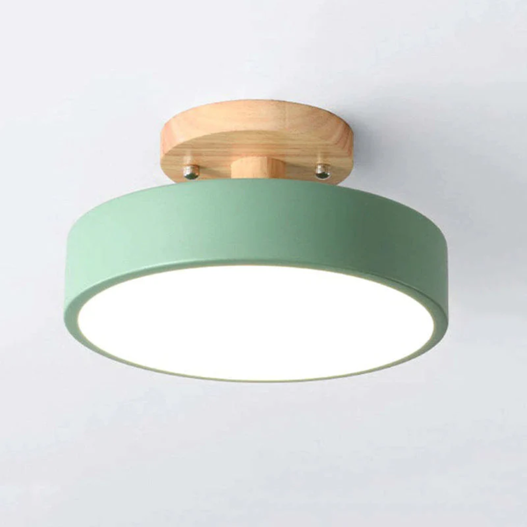 Sleek Contemporary LED Light Fixture