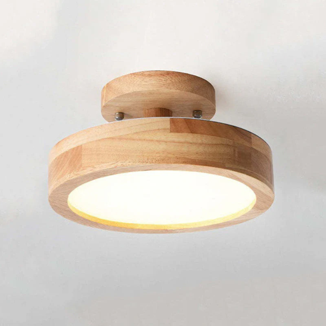 Sleek Contemporary LED Light Fixture - Befez