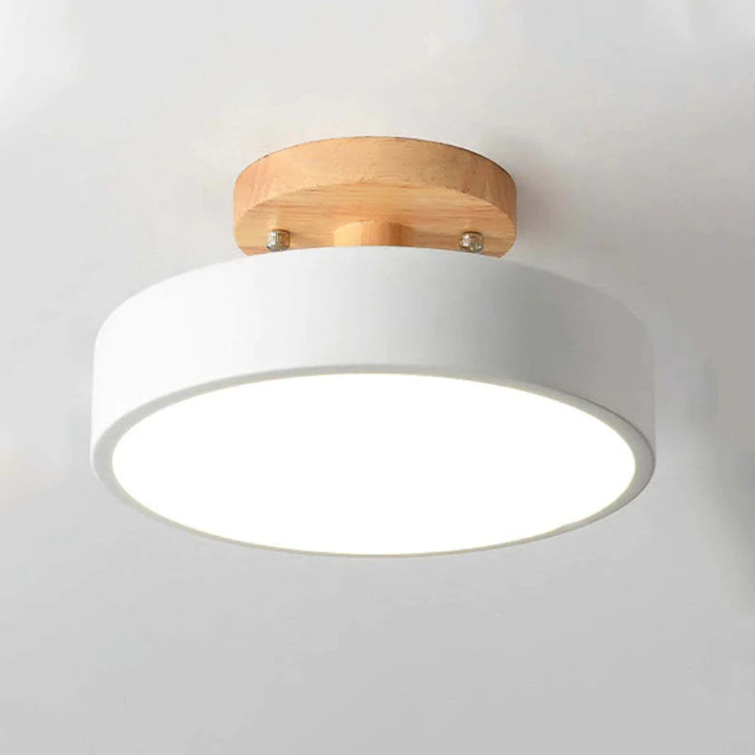 Sleek Contemporary LED Light Fixture