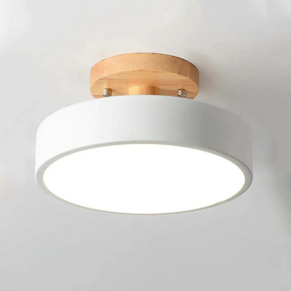Sleek Contemporary LED Light Fixture