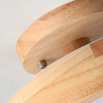 Sleek Contemporary LED Light Fixture